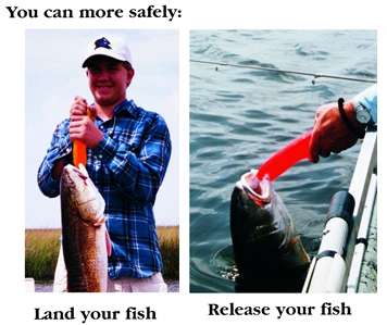 http://www.bigpapasportfishing.com/images/Fishing/Accessories/Fish_Grip-2.jpg